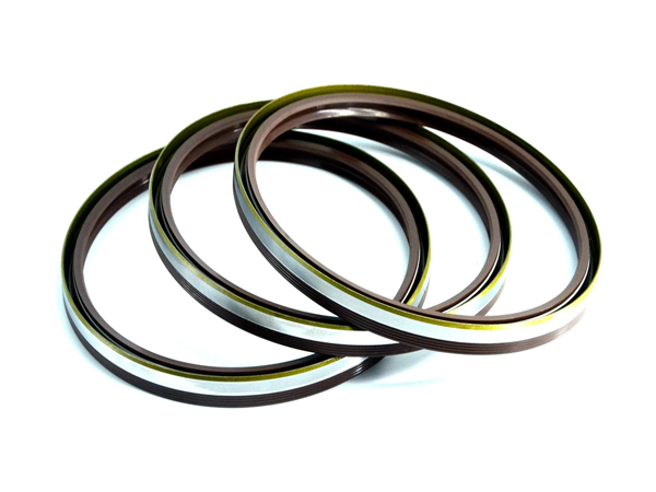 nqksf Automobile oil seal