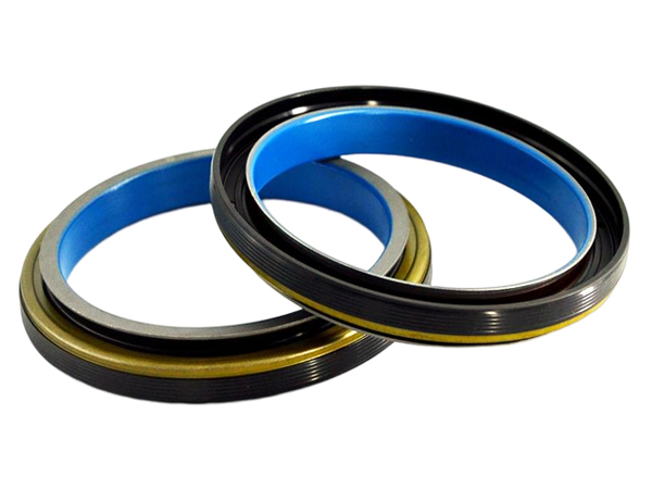 crankshaft oil seal