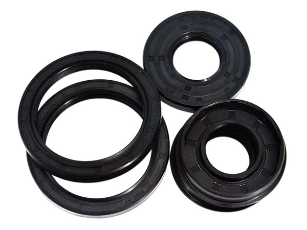 NQKSF TC TG rubber double spring oil seal