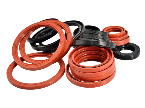 Oil Seals and Lip Seals