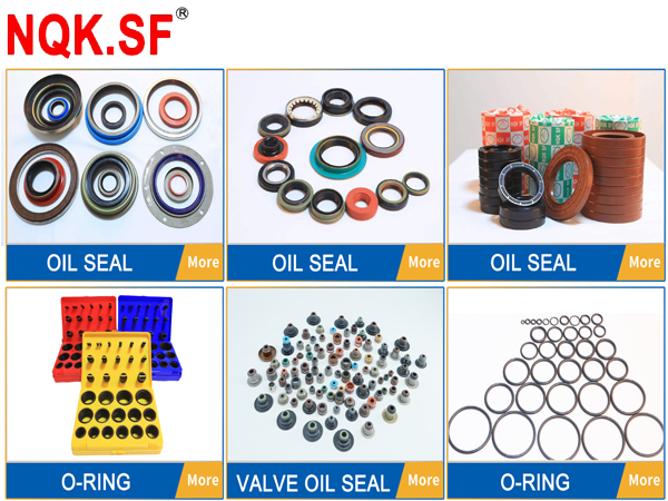 NQKSF oil seal & o rings