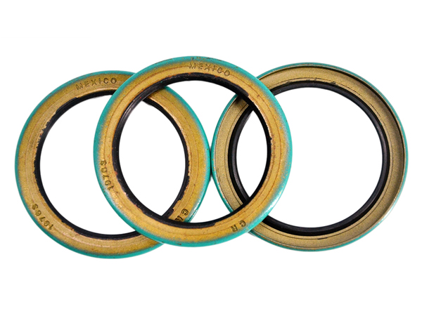 Rotary shaft seals