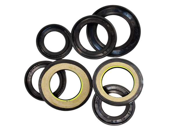 Power Steering Oil Seal