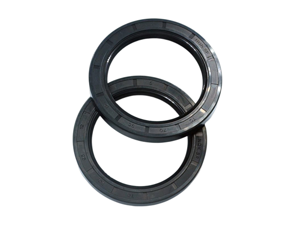 nqk sf skeleton oil seal