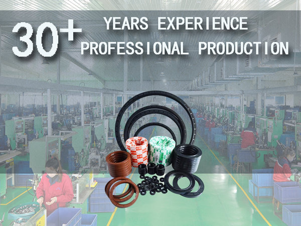 nqksf oil seal manufacturer