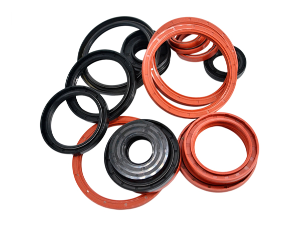 nqk Oil Seals