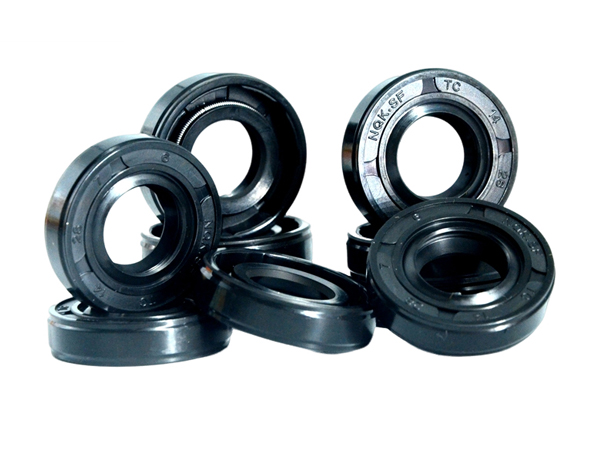 Best Quality Oil Seal NQKSF