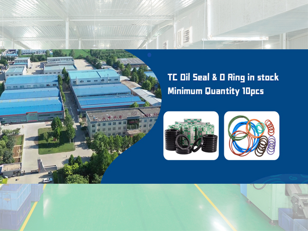 NQKSF Oil Seal Factory