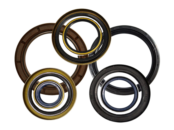 NQKSF Oil seals