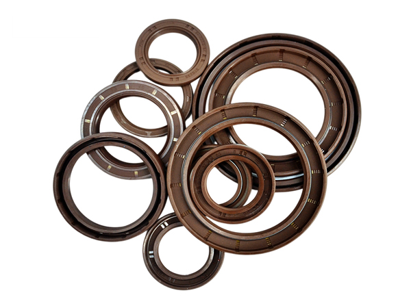 nqksf Skeleton oil seals