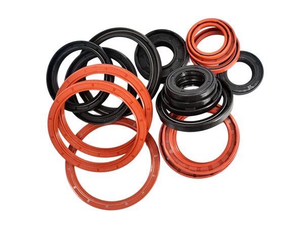 NQKSF Skeleton oil seals