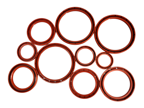 NQKSF FKM oil seals