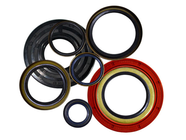 china nqksf Oil seals