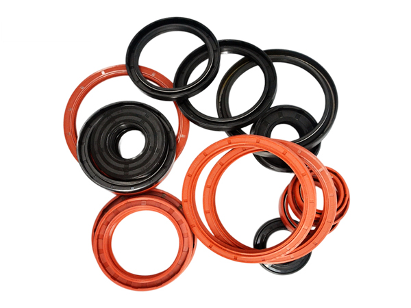 NQKSF Transmission oil seals