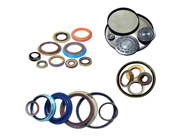 NQKSF automobile oil seal