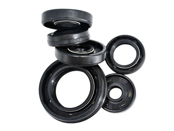 NQK SF TC Oil Seal or TG4 Oil Seal