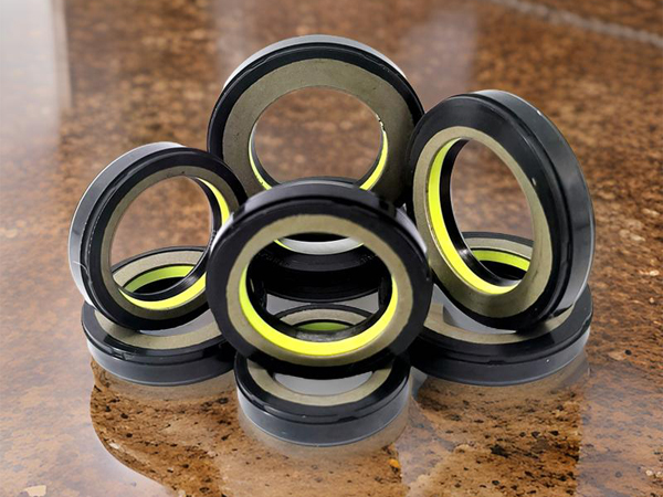 NQK SF Power Steering Oil Seals