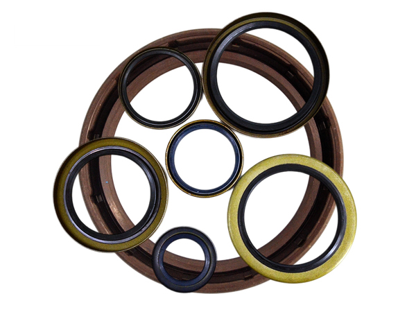 NQK SF Rotary Shaft Oil Seals