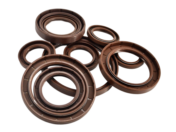 NQK SF TC Fluorine Rubber Oil Seals