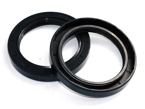 NQK SF Skeleton Oil Seals