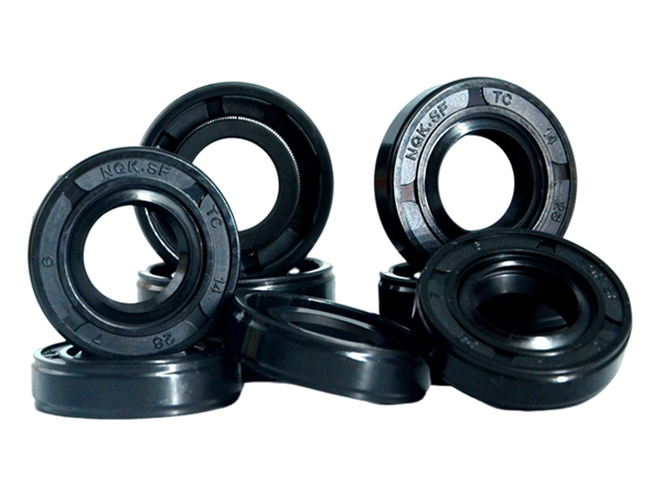 NQK SF TC Oil Seals