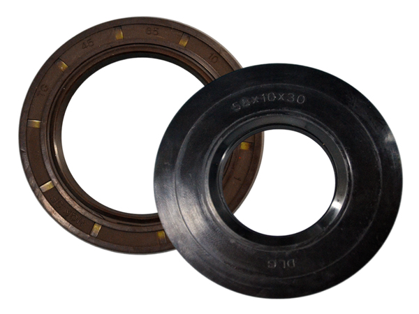 Oil Seals