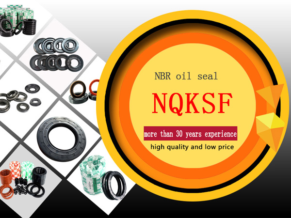 NQKSF Oil Seals