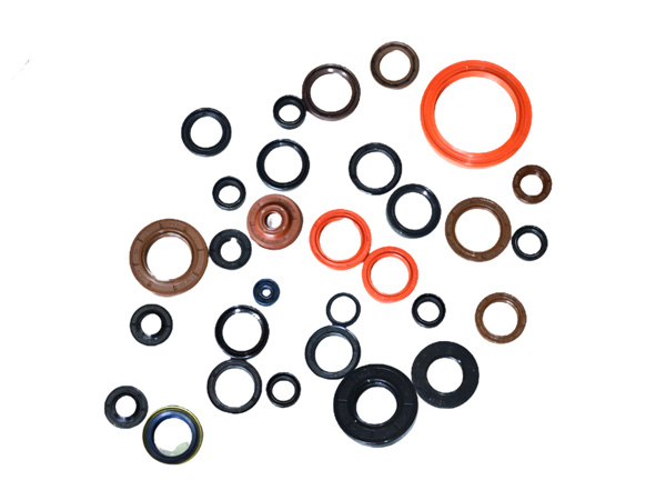 Best Oil Seal