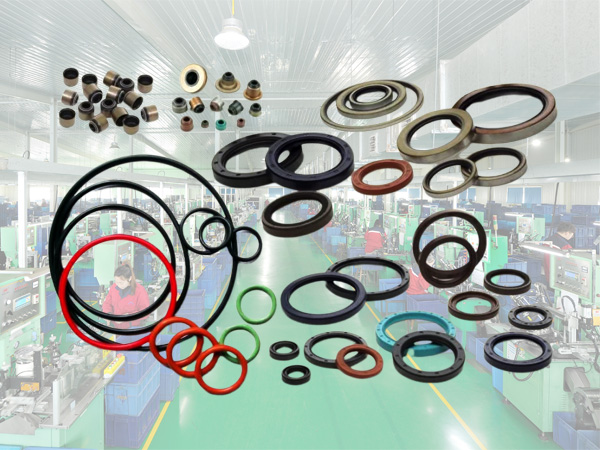 Customization Oil Seal Sealing